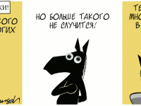 Превью выпуска №814