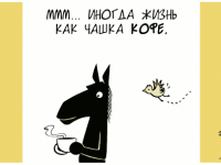 Превью выпуска №856