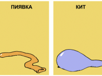 Превью выпуска №871