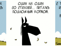 Превью выпуска №900