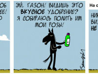 Превью выпуска №971