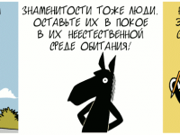 Превью выпуска №1016