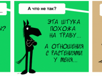 Превью выпуска №1018