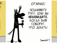 Превью выпуска №1107