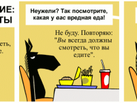 Превью выпуска №1137