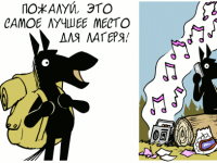 Превью выпуска №1148