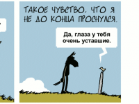 Превью выпуска №1154