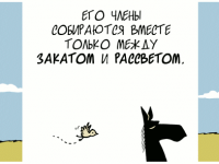 Превью выпуска №1169
