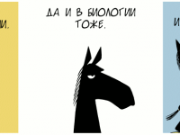 Превью выпуска №1190
