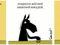 Превью выпуска №1313