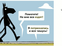 Превью выпуска №1325