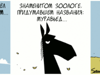 Превью выпуска №1339