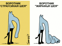 Превью выпуска №1342