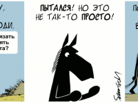 Превью выпуска №1371