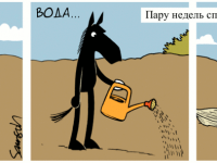 Превью выпуска №1393