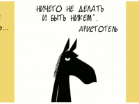 Превью выпуска №1415