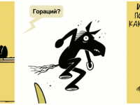 Превью выпуска №1504
