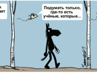 Превью выпуска №1509