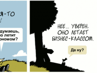 Превью выпуска №1554