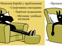 Превью выпуска №1556