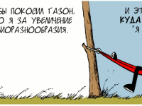 Превью выпуска №1563