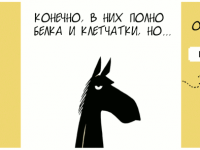 Превью выпуска №1569