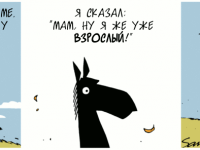 Превью выпуска №1571