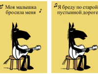 Превью выпуска №1611