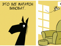 Превью выпуска №1626