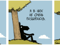 Превью выпуска №1629