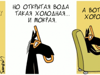Превью выпуска №1722