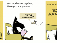 Превью выпуска №1729
