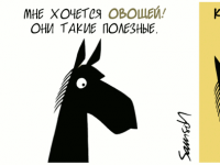 Превью выпуска №1744