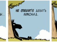 Превью выпуска №1748