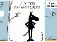 Превью выпуска №1795