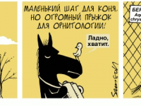 Превью выпуска №1946