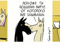 Превью выпуска №1951