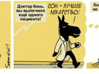 Превью выпуска №1969