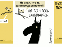 Превью выпуска №1981