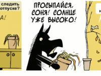 Превью выпуска №2081