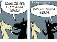 Превью выпуска №2137