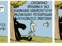 Превью выпуска №2155