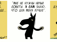 Превью выпуска №2164