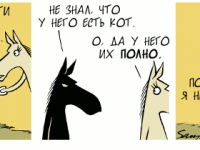Превью выпуска №2165