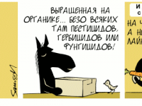 Превью выпуска №2187