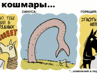 Превью выпуска №2225