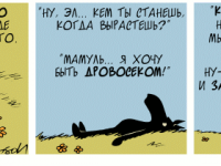 Превью выпуска №2252