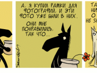 Превью выпуска №2258