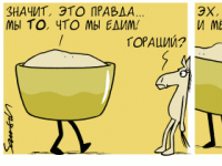 Превью выпуска №2272