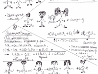 Превью выпуска №10